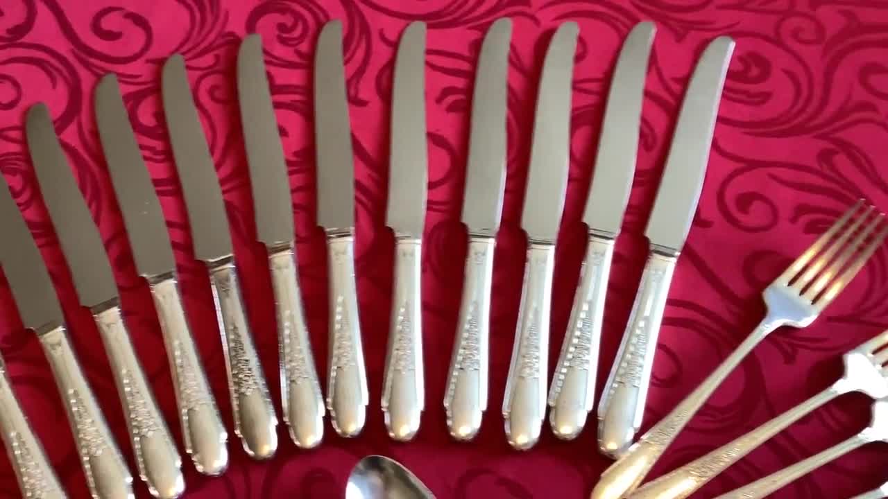 TARIFFS INCLUDED 57 Pieces Gardenia Pattern Silver Plated