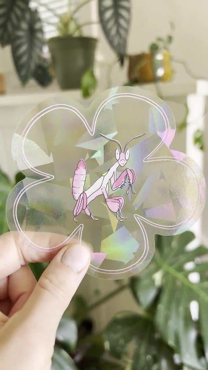 Set of ANY 2 Suncatcher Vinyl Decals – Jess Weymouth