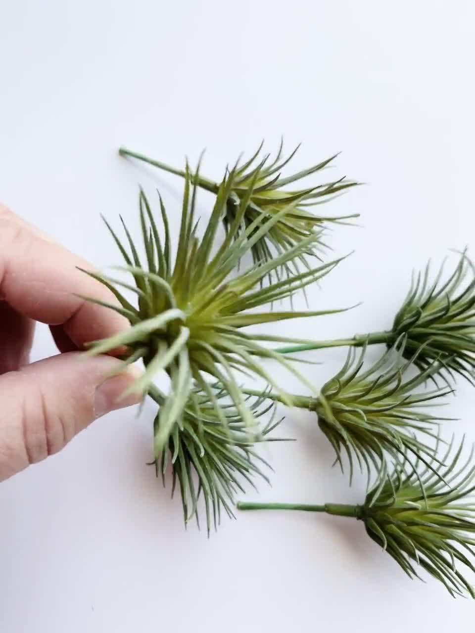 How to Pot Fake Air Plants – Verderamade