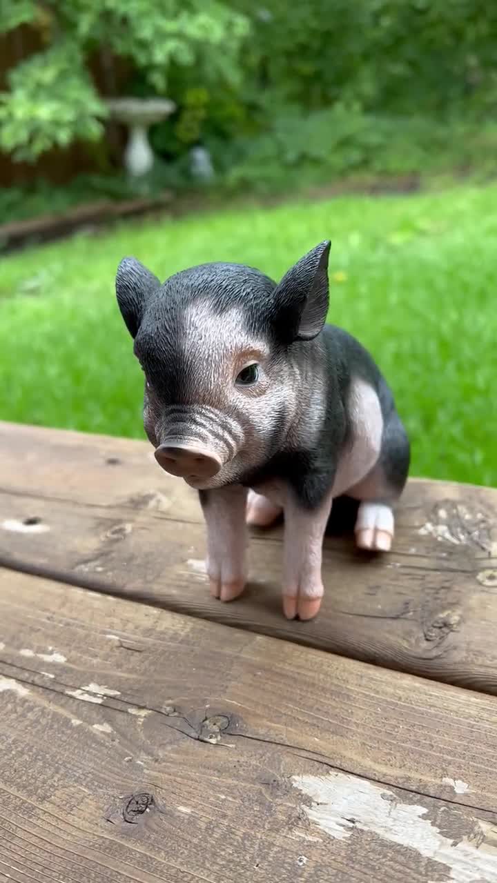 Spotted Baby Pig Sitting Piglet Yard Ornament Resin Figurine Statue  Farmyard Decoration Realistic 6x7inches Indoor or Outdoor Figurine -   Finland