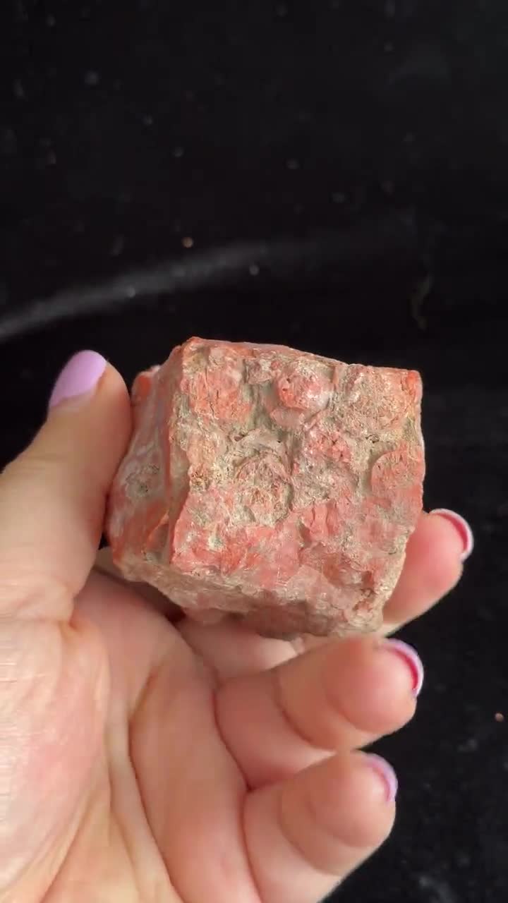 Colonial Coral Fossil - Hexagonalarid Replaced by Red Jasper