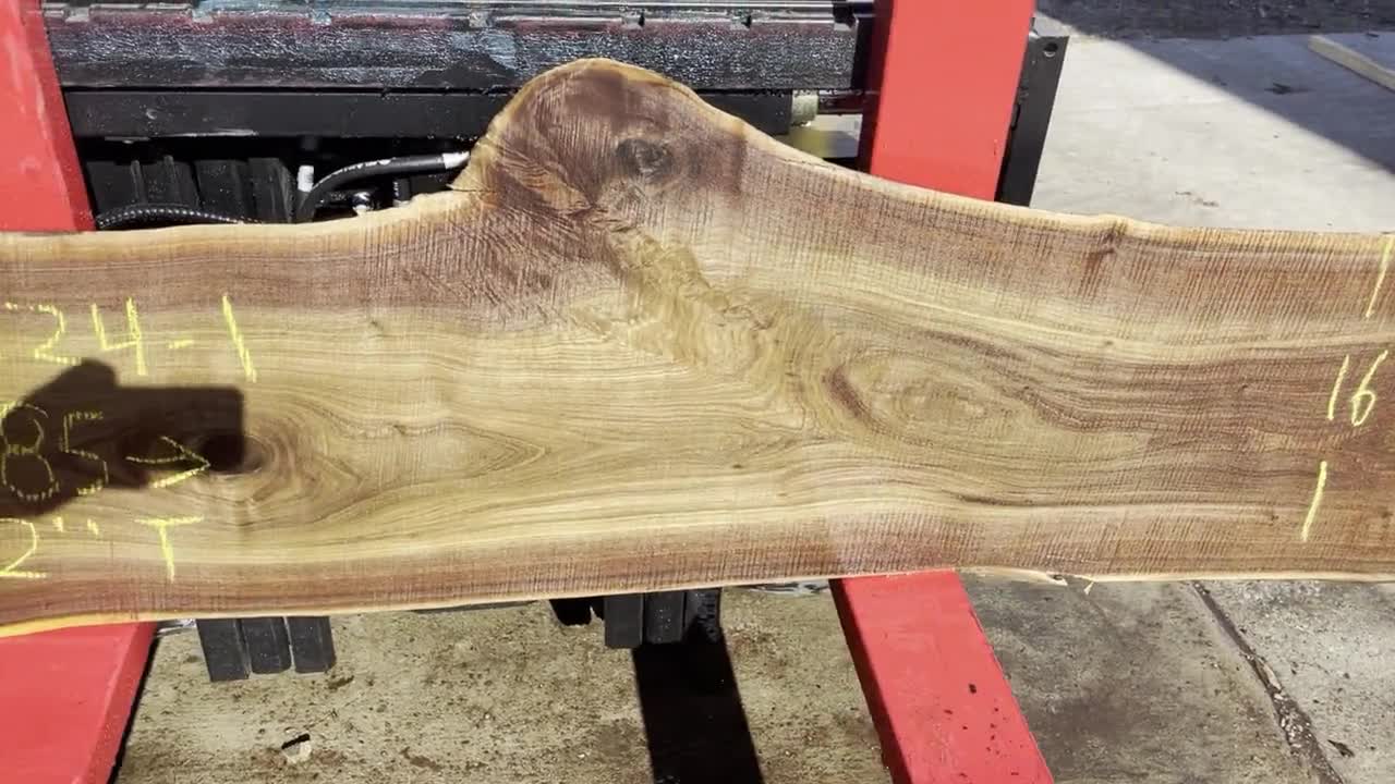 Live Edge Raw English Walnut Slab