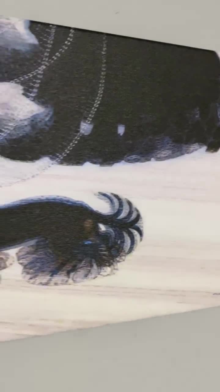 Balla「Dynamism of a Dog」キャンバスアート：未来派の犬の絵画、すぐ