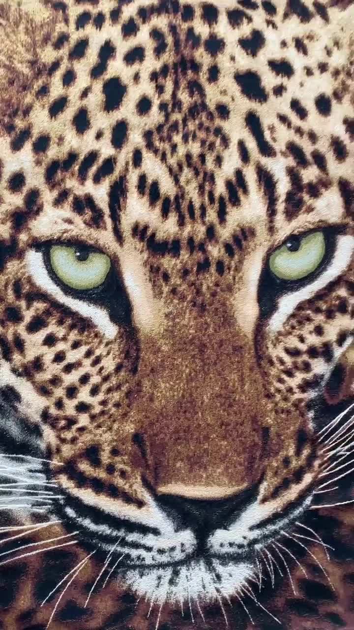 CARA REOPARD (I’M NO’T A TROPHY) CARA LEOPARD, Tattoo, I'M NOT A TROPHY · Art photographs