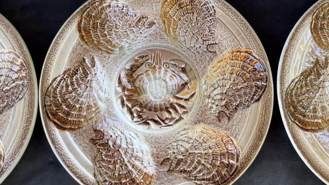 サルグミーヌ フランス産マジョリカ焼きオイスタープレート