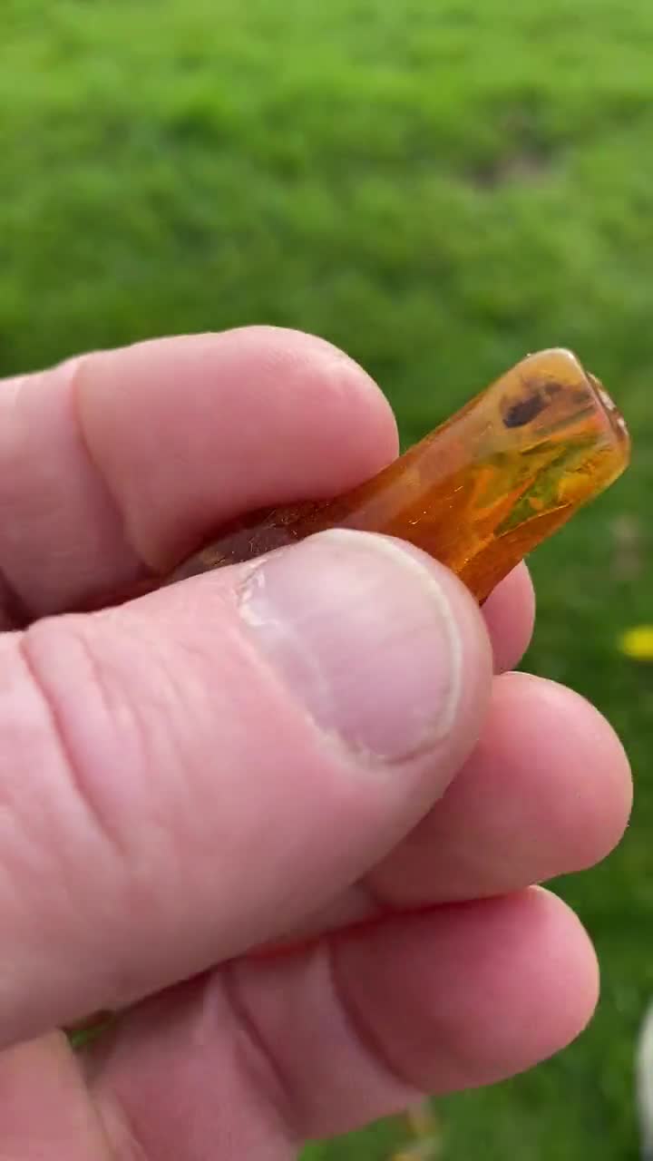 40 Million Year Old Baltic Amber With Unusual Insect / Amber