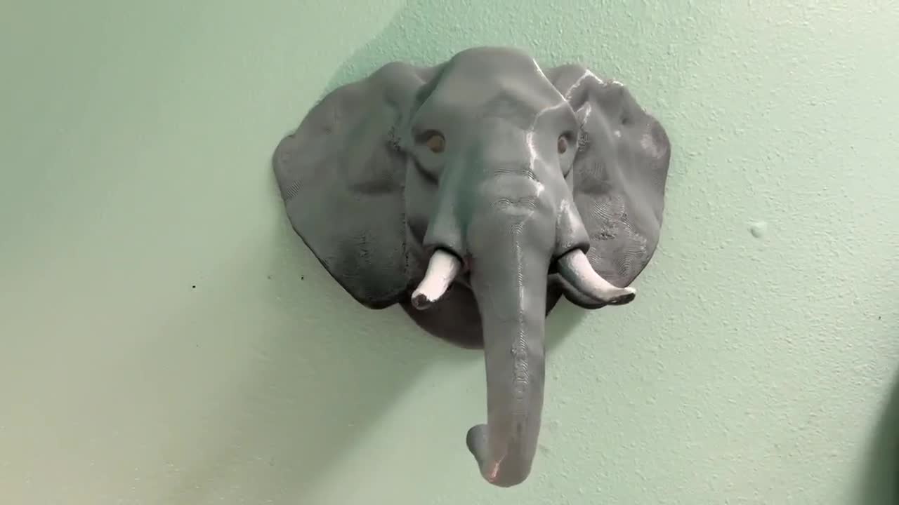 Elephant HP Headphone & TV Remote Control Wall Mount Holder