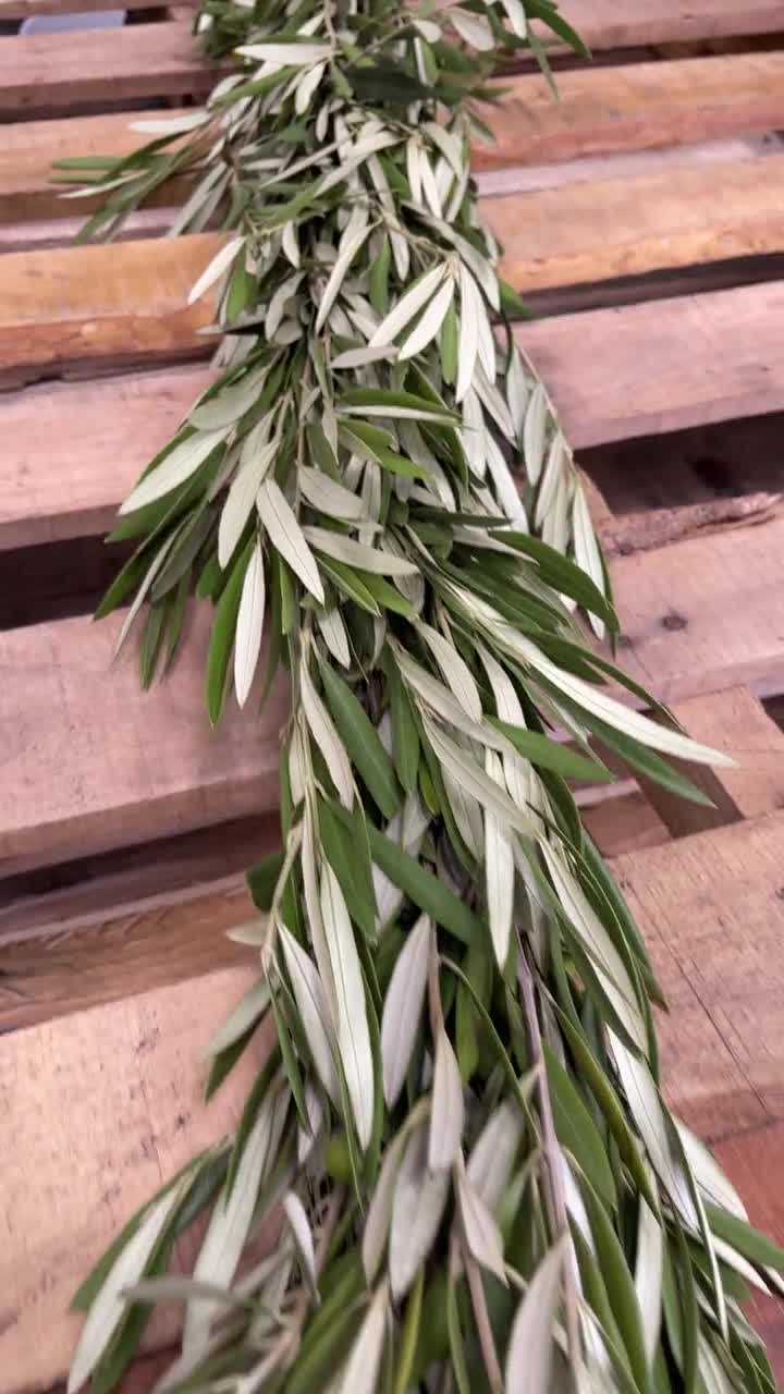 Fresh Olive Leaf Garland