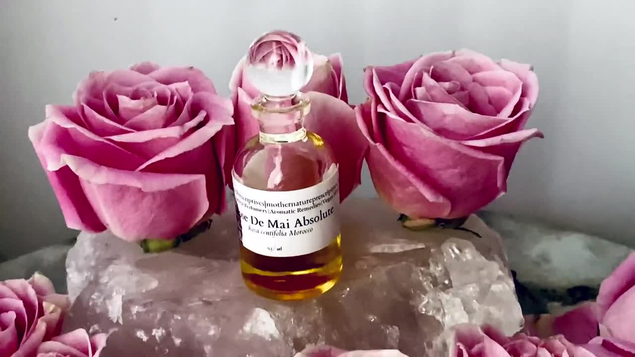 Top 10 MAY ROSE / ROSE DE MAI Fragrances  Rose Centifolia, Grasse Rose,  Cabbage Rose Perfumes 