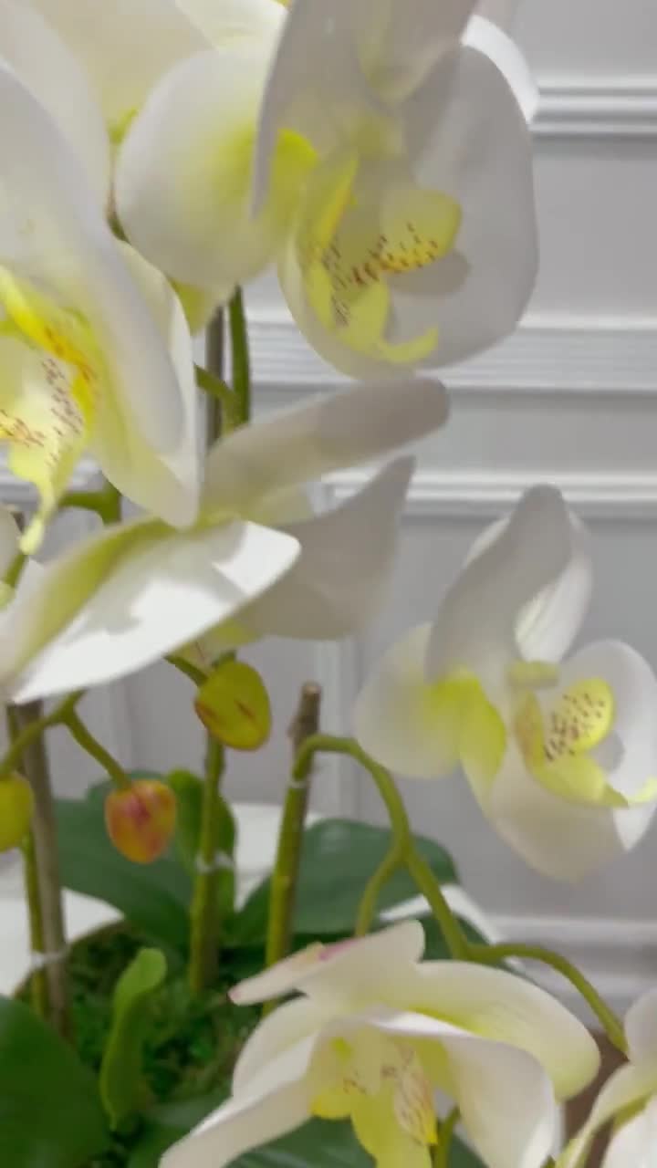 Composizione di orchidee in seta bianca con 3 steli di orchidee  Phalaenopsis che utilizzano fiori Real Touch in vaso dorato come  centrotavola francese per la casa -  Italia