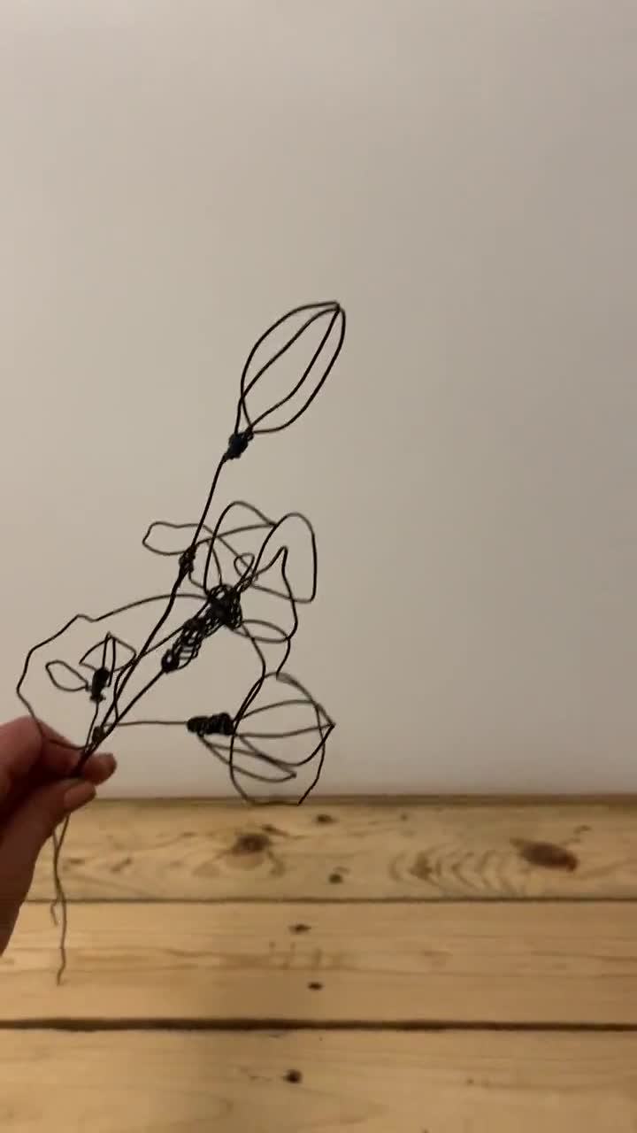 Black Wire Flower and Leaf