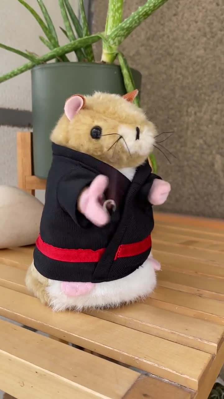 funny hamsters singing