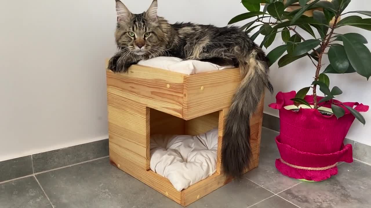 Katzenhöhle Mit Waschbarem Kissen - Gemütliches Katzenbett 40x34 Cm