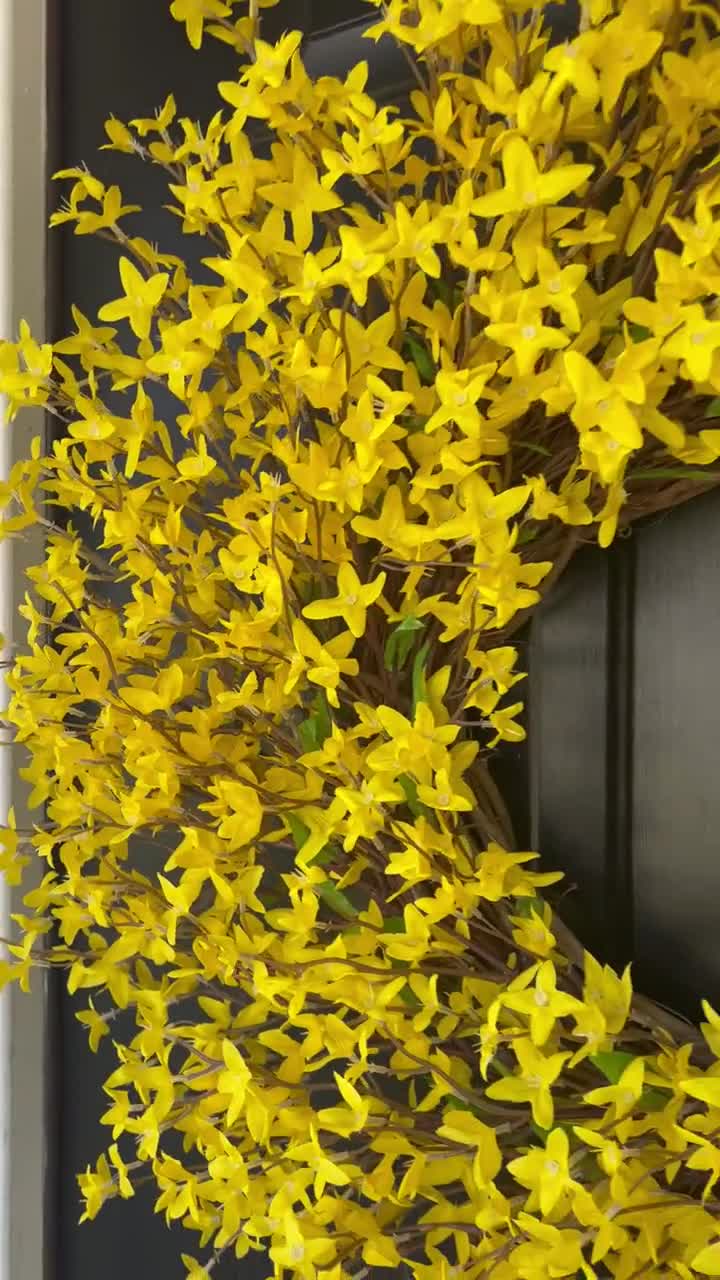 Forsythia Wreath For Front Door, Vibrant Yellow Spring Wreath, Large