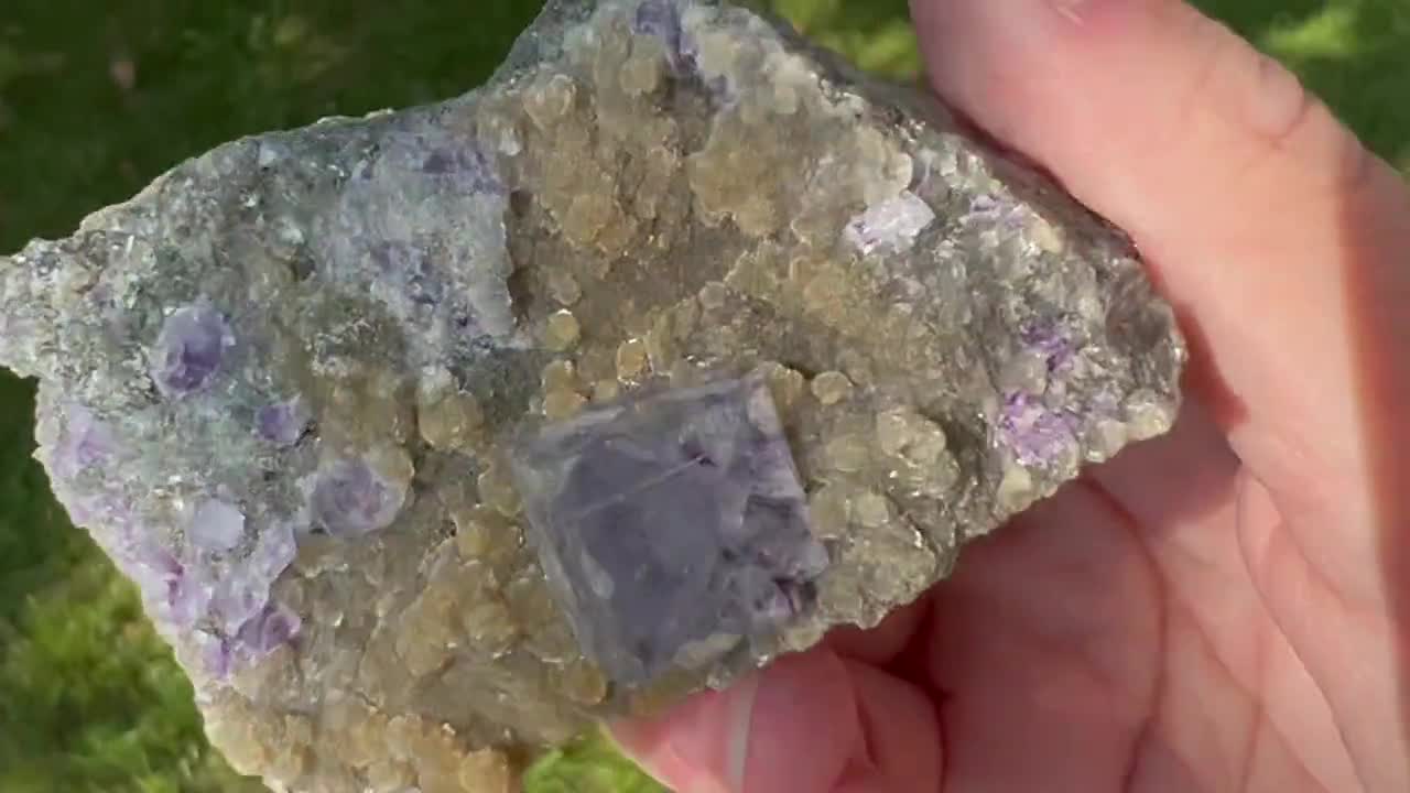 Cubes of Clear Purple Fluorite, with Muscovite and Green Chamosite, from the Yaogangxian Mine, China buy