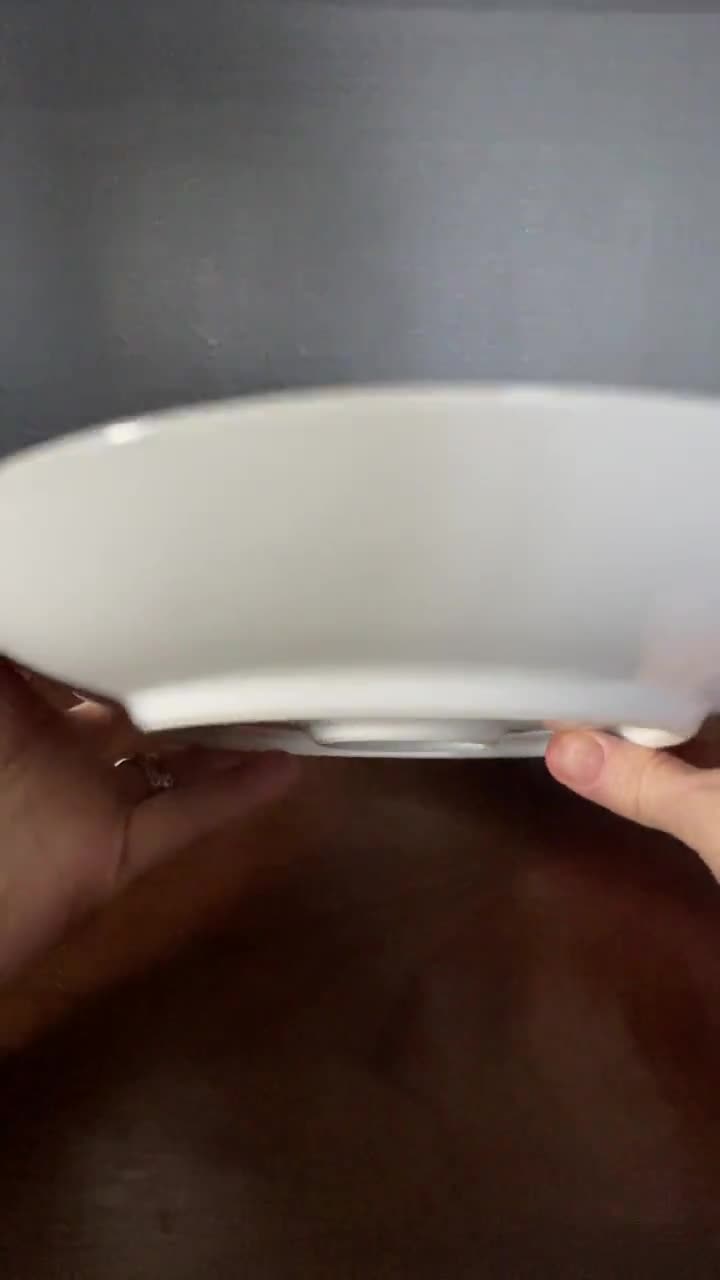 1910's-20's NORITAKE (M) Hand Painted, Japan, Fine Bone China