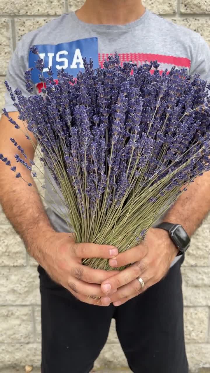 Dried Lavender Stems With Flowers - 100 Stems -18 Inches Long - Home Decor,  Crafts, Weddings Etc