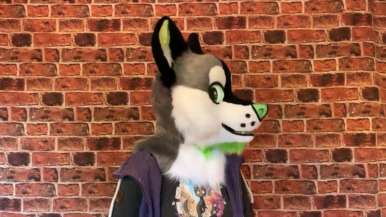 Toony Fox Fursuit Costume Expanding Foam Head Base 