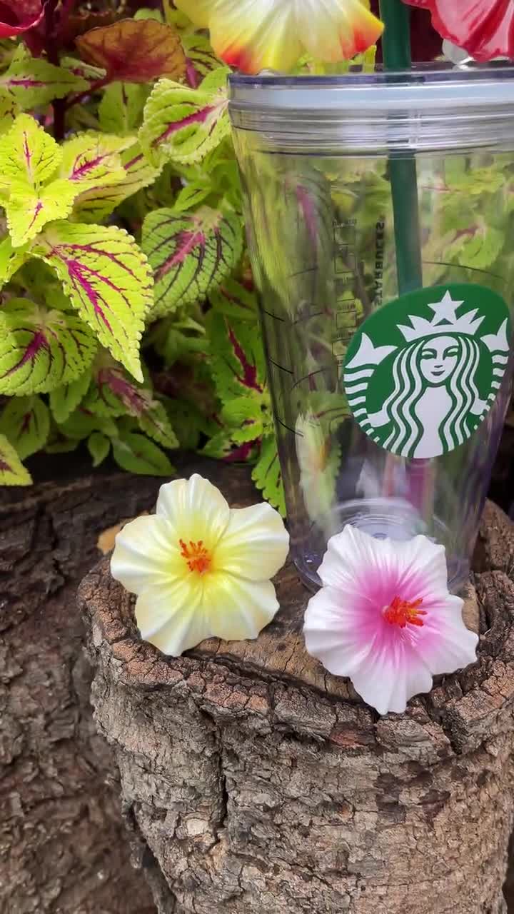 Hibiscus Straw Topper