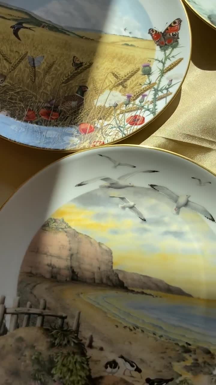Royal Worcester Limited Edition Collector Plate, Peter Banett