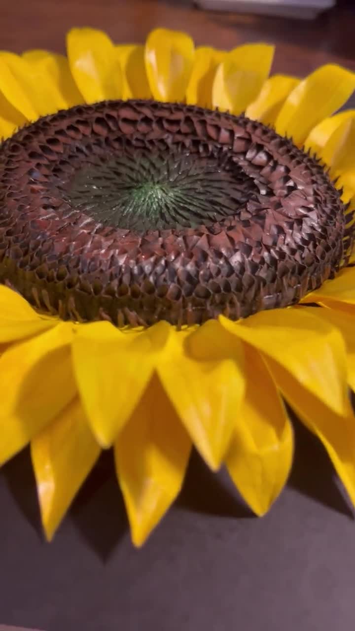 Sculpture en forme de boîte d'ombre en papier tournesol 8 x 8 pouces video poster