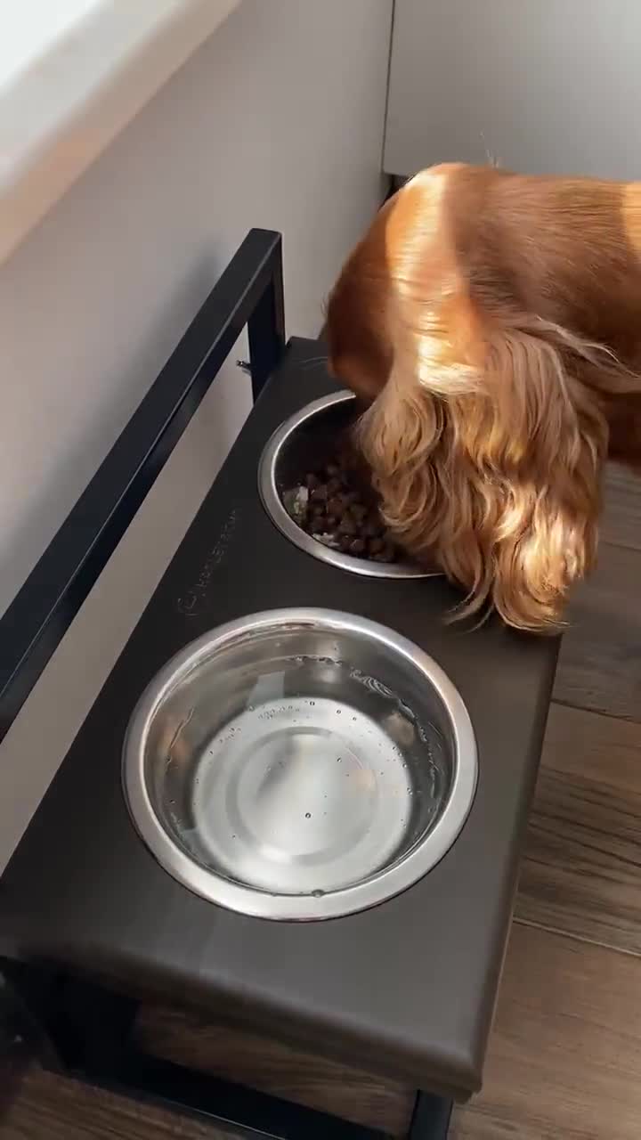 Vantic Elevated Dog Bowls - Adjustable Raised Dog Bowls for Large Dogs,  Medium Dogs and Small Do - Pet Bowls & Dishes - Los Angeles, California, Facebook Marketplace