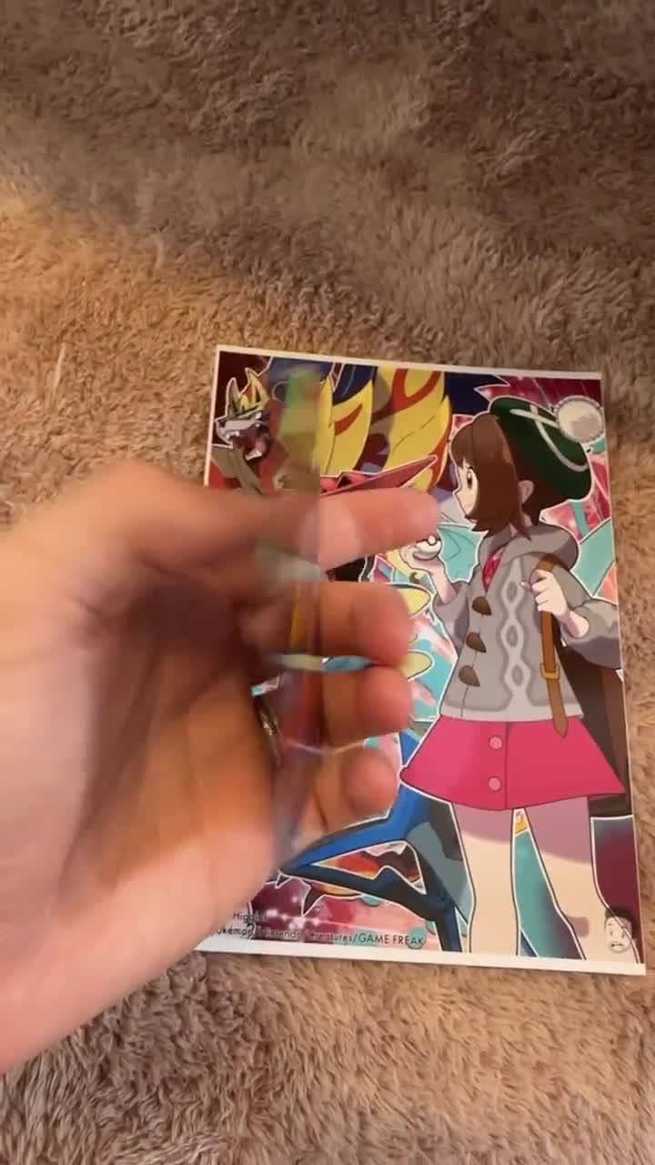 Trainer Gloria