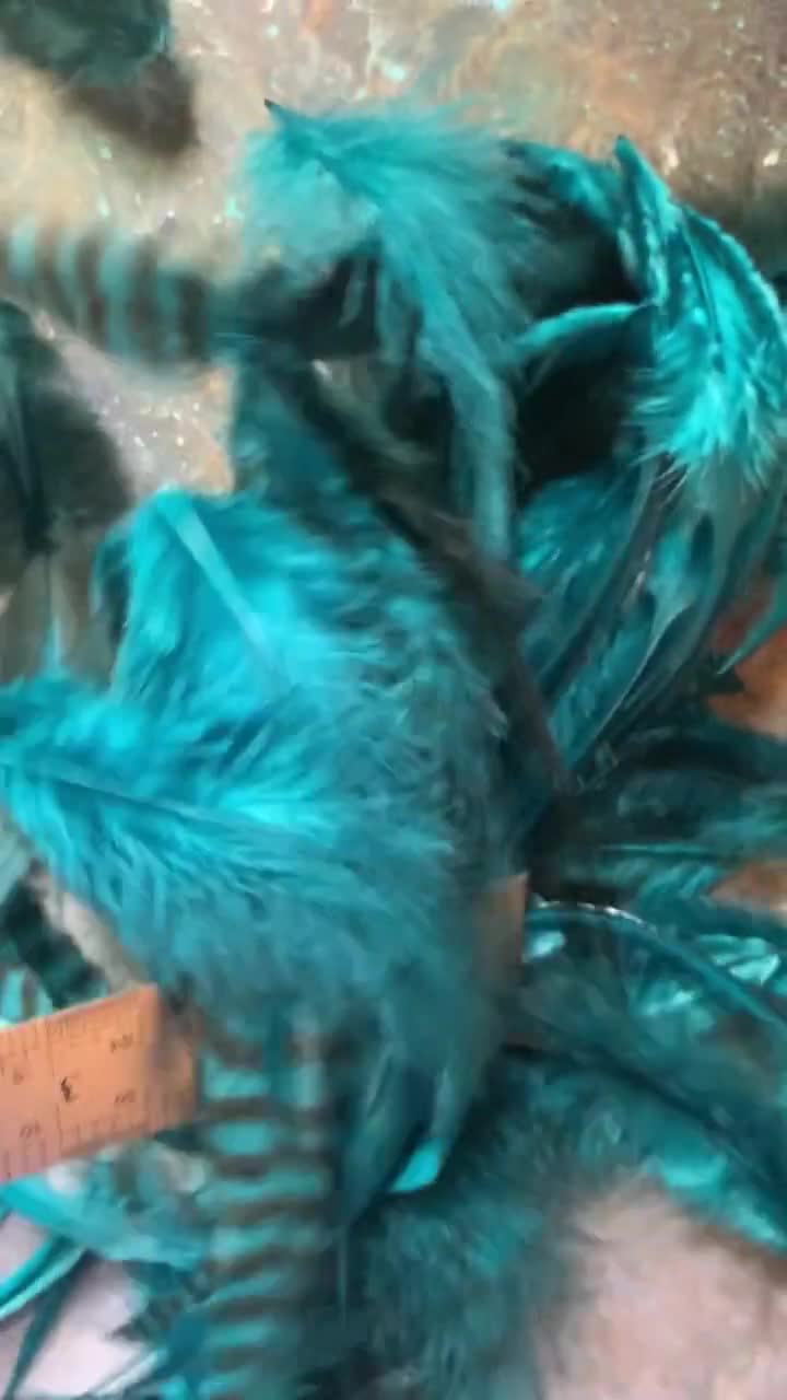 Bulk Feathers for Crafts Teal Green Blue Craft Feathers for Pet Accessories  Fishing Mobiles Haberdashery Embellishments 50 Pcs 