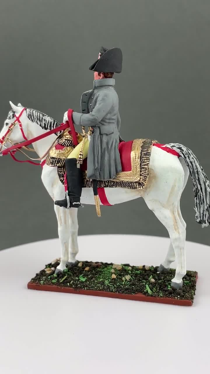 ナポレオン兵士 1/30スケール、フランス騎馬スタッフ、ミニチュア絵画