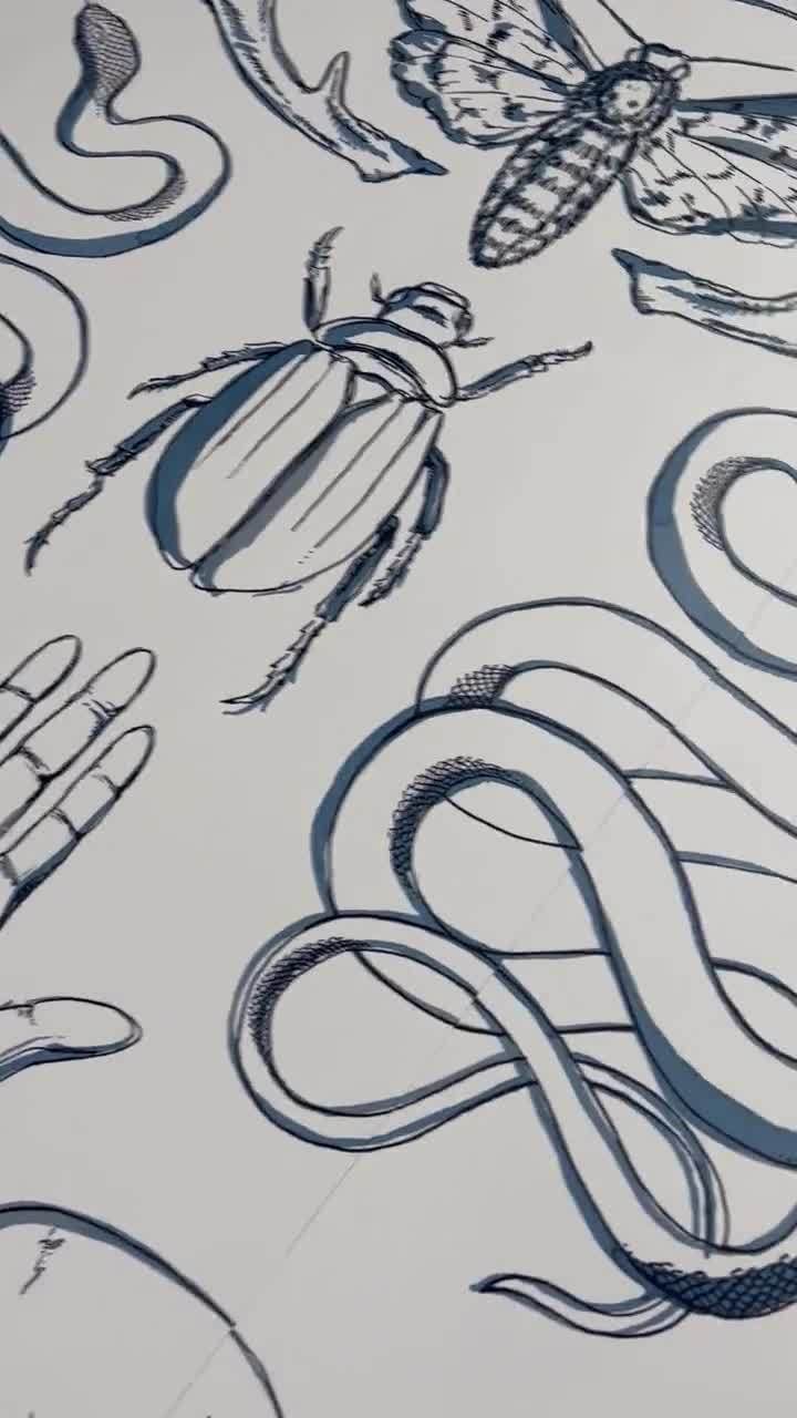 Wandbekleding Skulls, Snakes & Magic - verwijderbaar zelfklevend behang - Peel-and-Stick en voorgelijmde blauwe art-decomuurschildering van Green Planet video poster