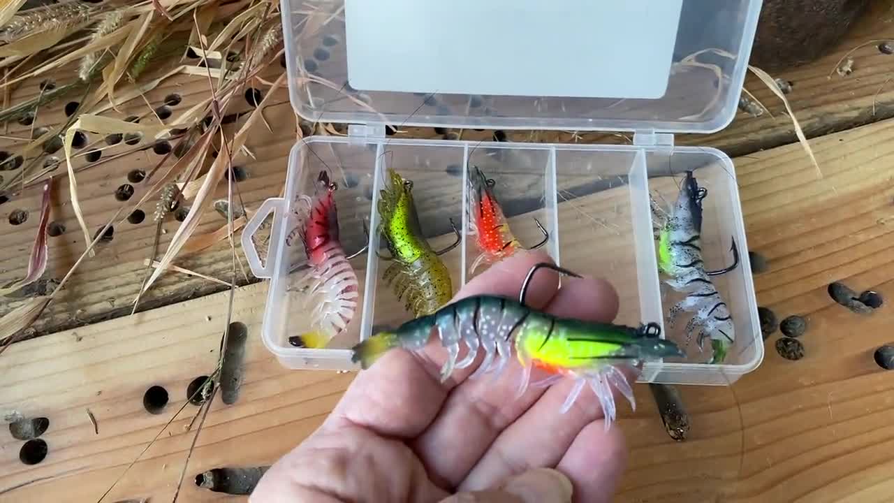 Pre-Rigged Shrimp Bait: 5-Piece Fishing Lure Set, Tackle Box, Quality Soft  Baits, Angler Gift
