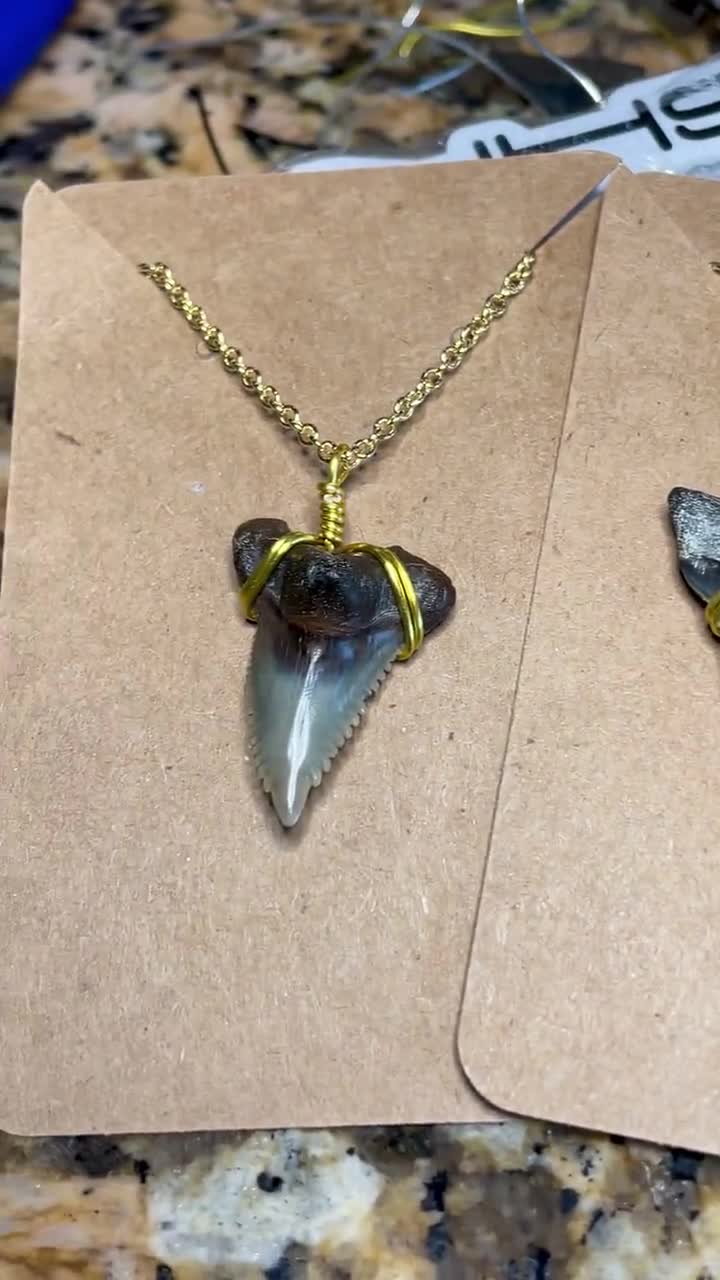 Recensione Di Denti Da Squalo Di Davide Gentile | ODG - Foto 2