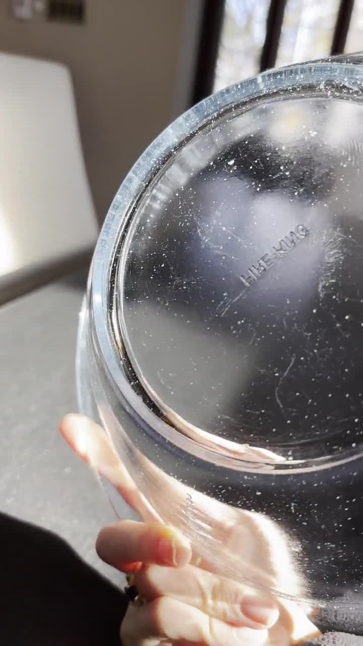 みびょ ファイヤーキング フィルビーリフコンテナ➕ボウル みびょ