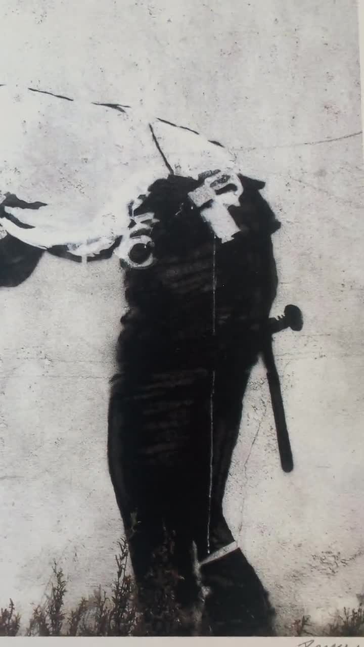 Banksy policie Stop and Search Girl Lithography, Certificate