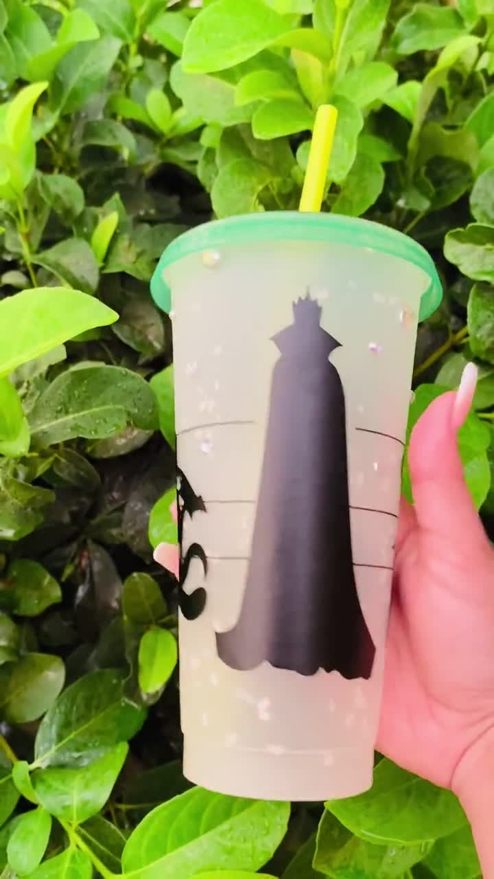 Disney Villains Color-Changing Plastic Tumblers | Set of 4