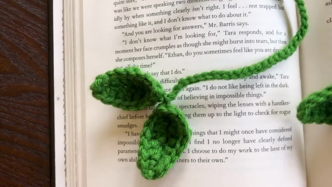 Poppy Bookmark Crochet PDF Pattern Beginner Simple Easy Crochet Tutorial  Spring Orange and Red Flower With Stem / Leaf Craft Gift Idea 