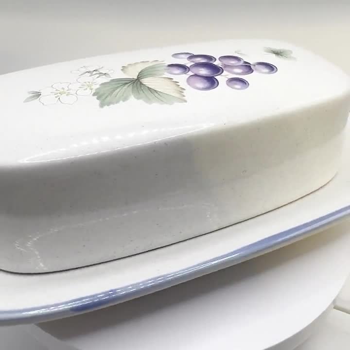 Savoir Vivre Luscious 1/4 Pound Covered Butter Dish JJ017 Japan