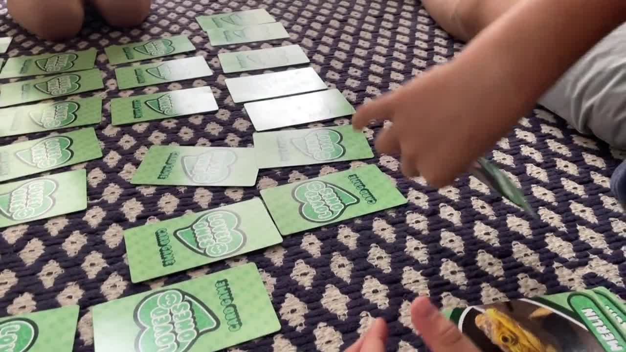 La Vieja Doncella, Pesca, Memoria: Juego de cartas con fotos familiares video poster