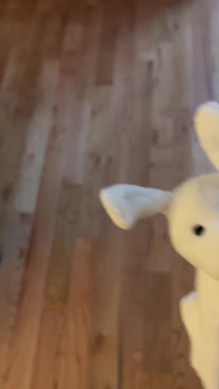 Mini Chippy Plush - Etsy