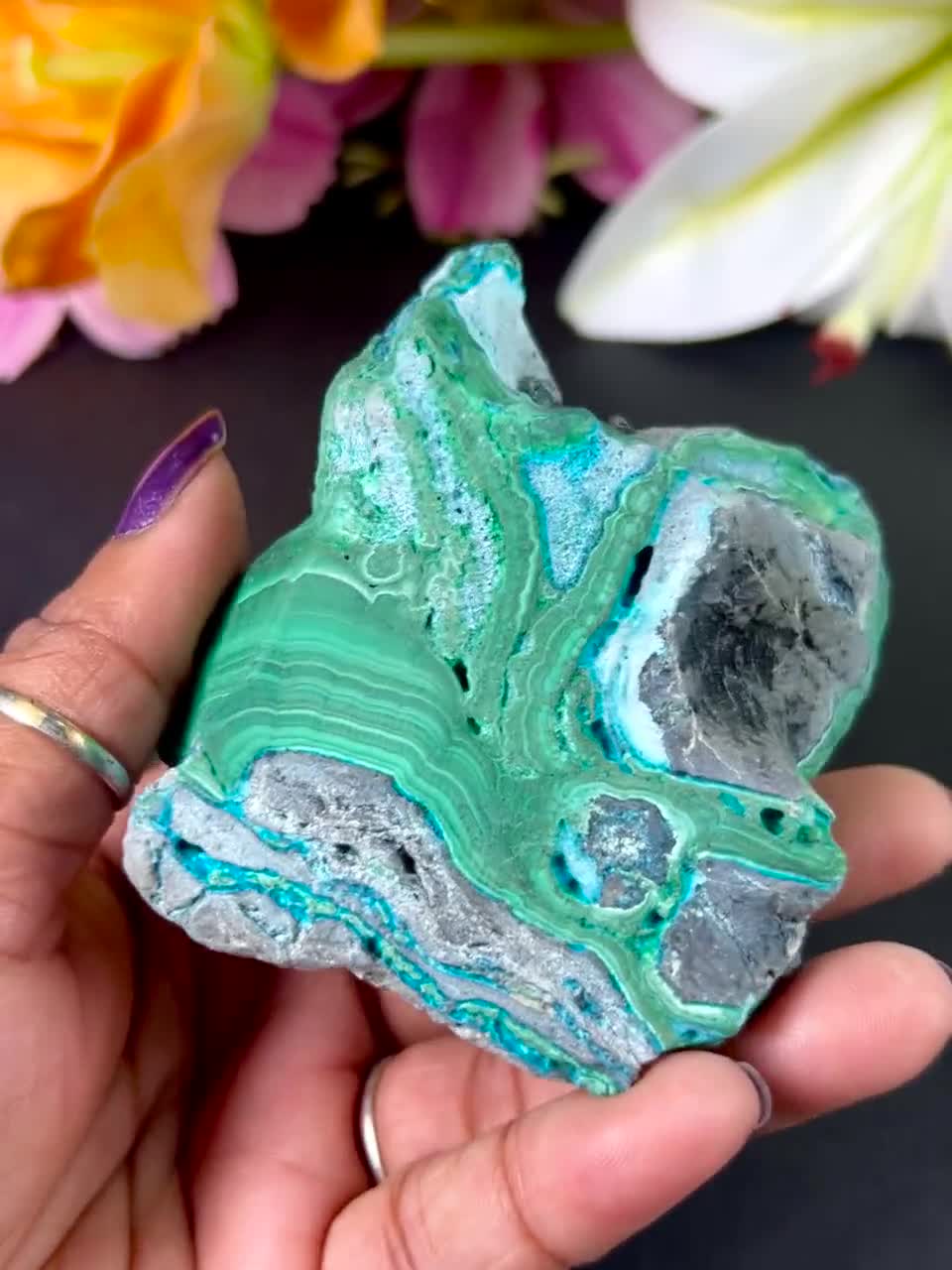 マラカイト母岩標本上のブドウ状クリソコラ、原石マラカイトおよび