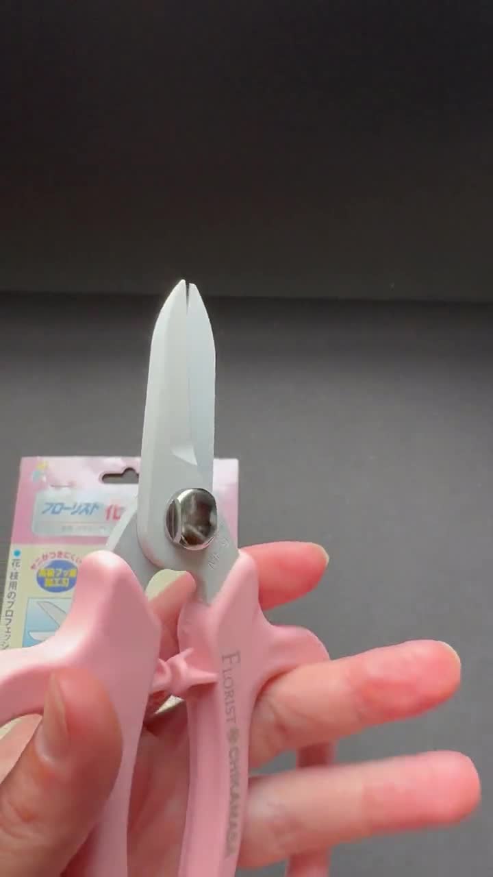 Chikamasa Flower Scissors: Japanese Florist Shears With Wire Cut