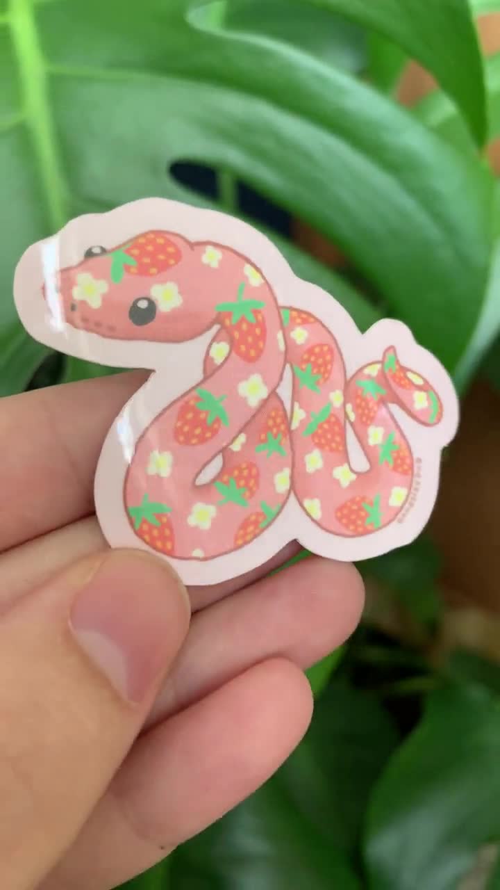 Strawberry Fruit Snake Vinyl Sticker — Strawberry Snake Gift for Snake Moms  and Snake Lovers — Adorable Snake Sticker for Laptop