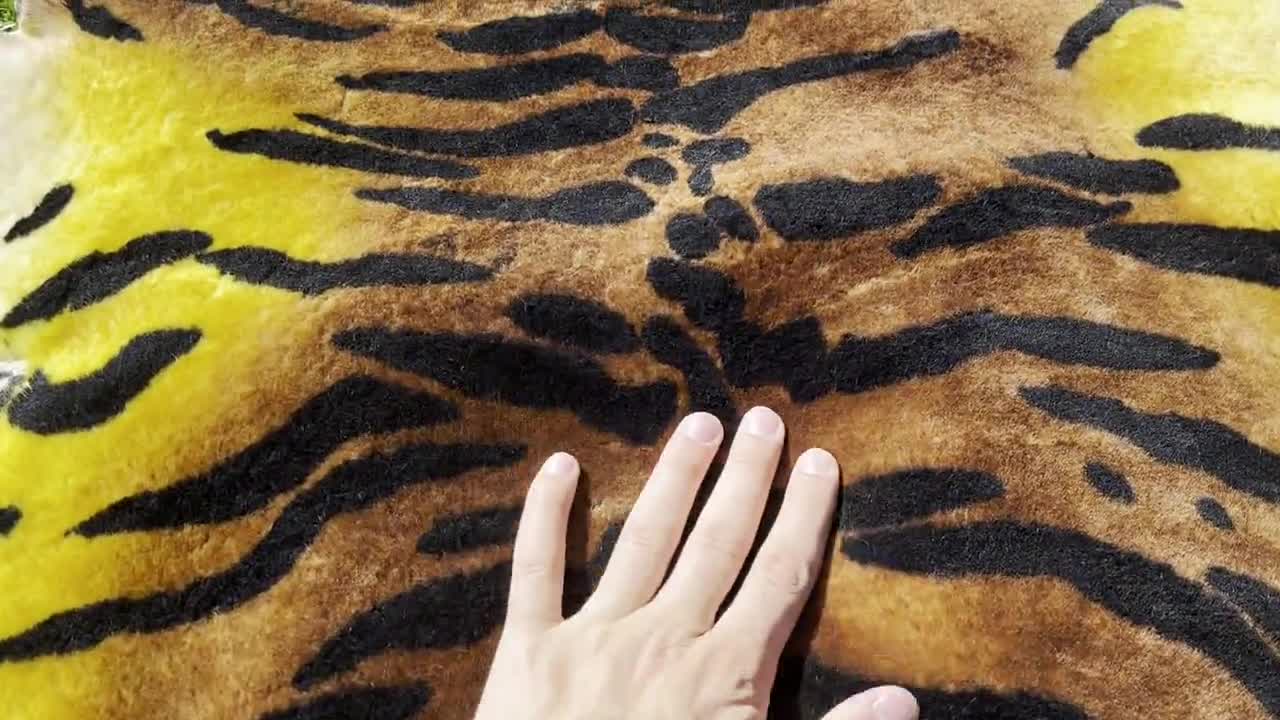 Tiger Print Sheepskin, Tibetan Tiger Rug, Genuine Sheepskin, Wild