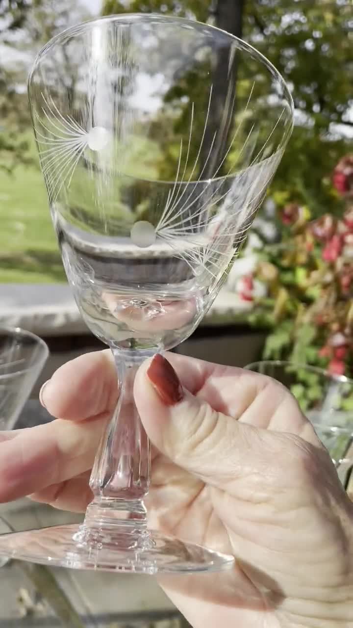 5 Vintage Acid Etched Crystal Water Goblet Wine Glasses, Fostoria, Rogene,  1920's, Tall Crystal Etched Wine Glasses 