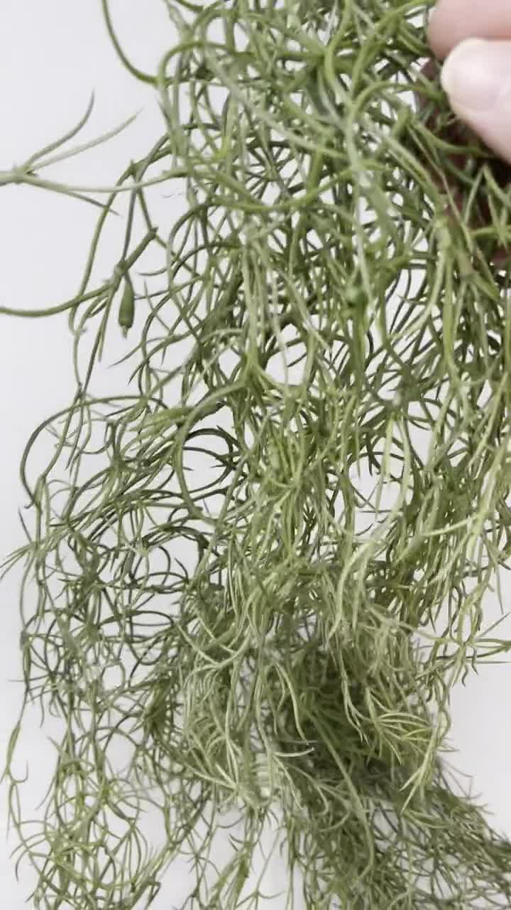 Artificial Hanging Plants Artificial Spanish Moss For Potted - Temu Italy