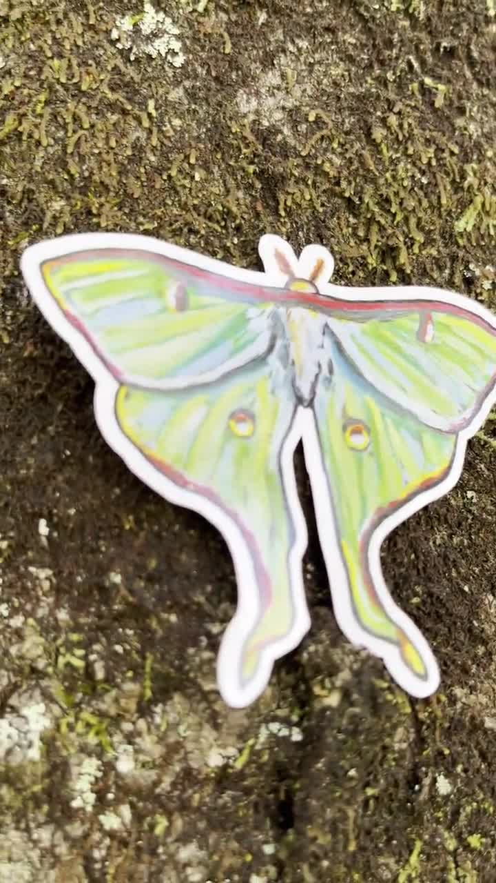 Luna moth sticker — ALPINE AYITA