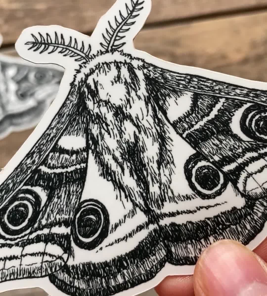 Emperor Moth temporary tattoo – Ali Chappell-Bates Art