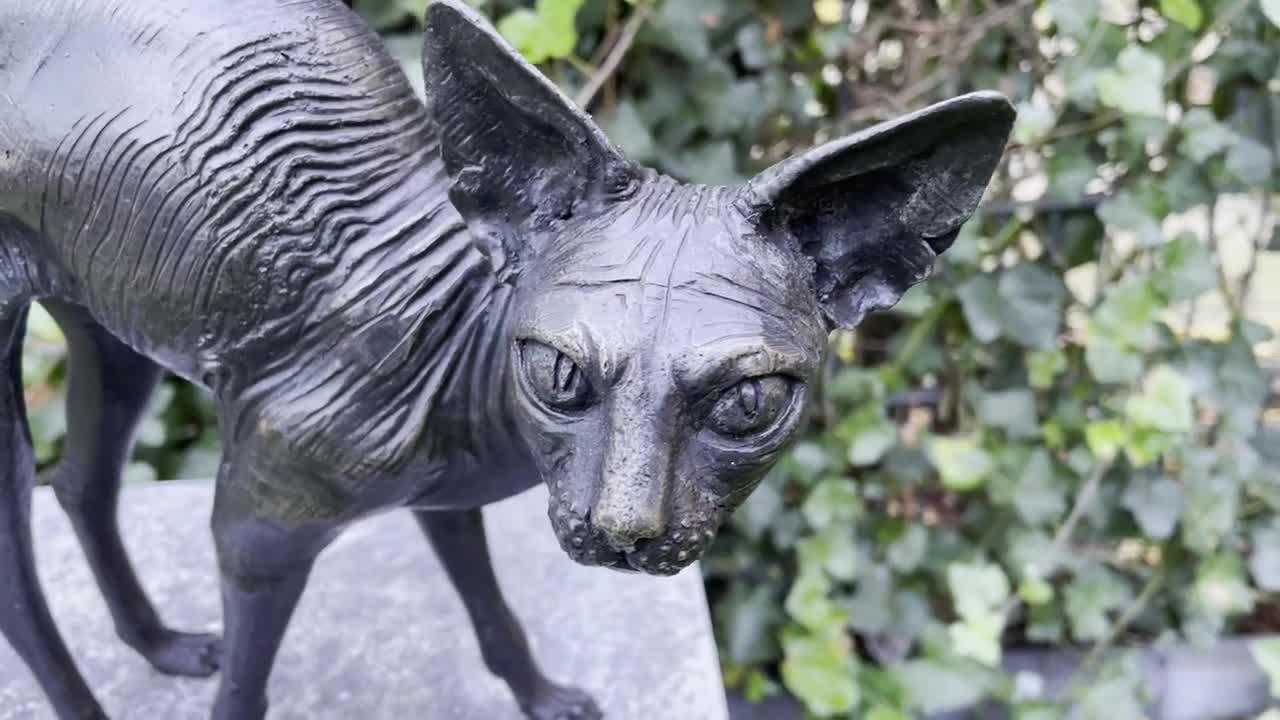 Beautiful Bronze Naked Cat Sphynx - Sculpture - Interior - Office - Garden  decoration -Garden statue- 22x11x29 cm - 1 Kg