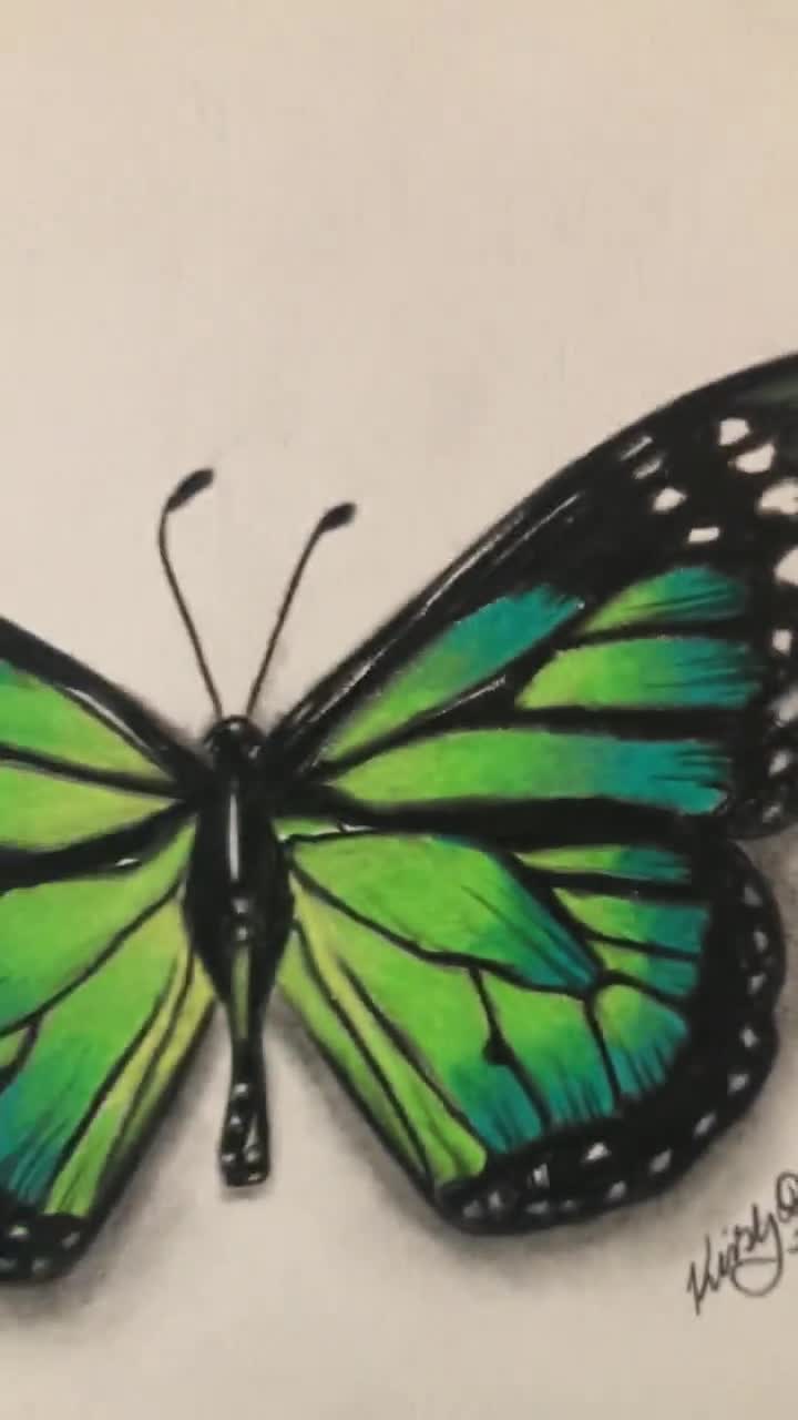 Buy Detailed and Colourful Hand Drawn Realistic Butterfly Drawing Sketch  Art Print / 3D Look Butterfly Art Work Print / Butterfly Art Gift Online in  India - Etsy