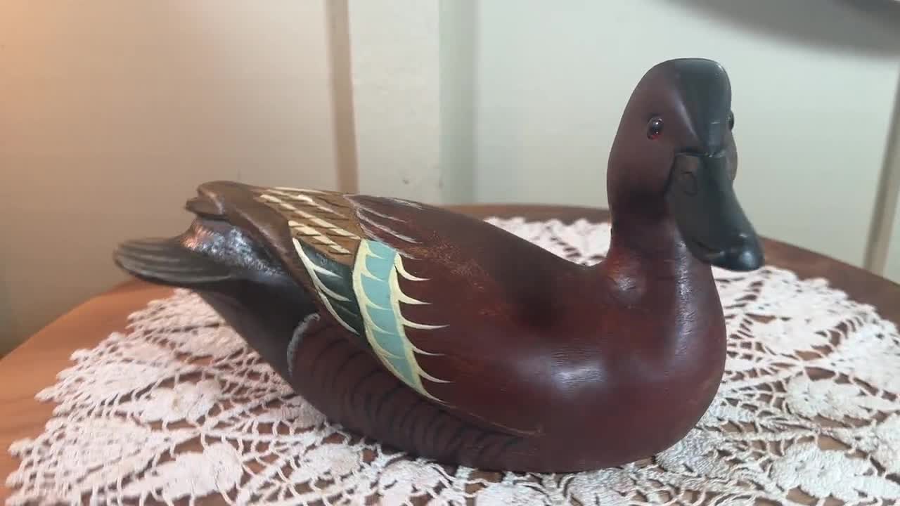 Duck Decoy Ivy Plant